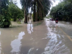 Perkembangan Situasi dan Penanganan Bencana Tanggal 2 Maret 2025
